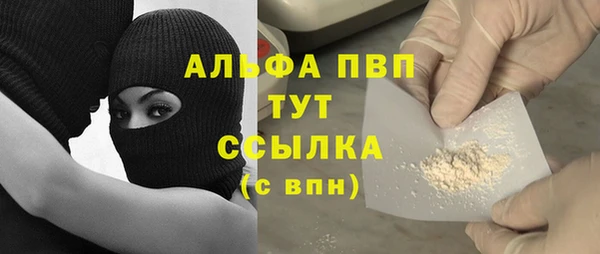 стаф Горнозаводск