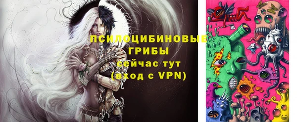 стаф Горнозаводск