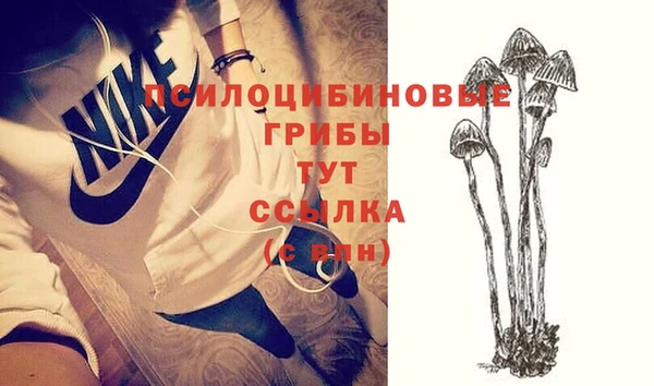 стаф Горнозаводск