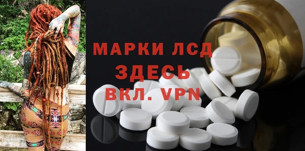 стаф Горнозаводск