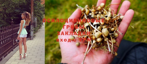бошки Горно-Алтайск